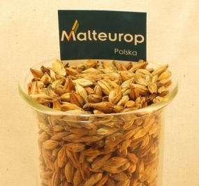 Słody pszeniczne Malteurop