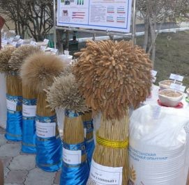 Ukraina.Srodki ochrony roslin,zaprawy pasz. Nasiona, nawozy