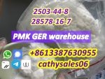 Holland hot sales PMK powder / pmk wax Cas 28578-16-7 with best p