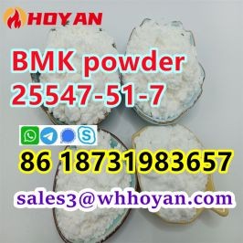 cas 25547-51-7 bmk powder Bmk glycidic acid High Yield BMK Powder
