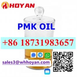 PMK oil CAS 28578-16-7 High Concentration Oil PMK Supplier