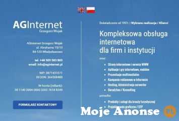 Kompleksowa obsługa internetowa firm i instytucji - AGinternet
