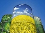 Ukraina.Olej rzepakowy 2,3 zl/litr,nasiona,sloma,biomasa,tluszcze