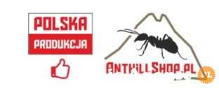 Anthillshop.pl - mrówki, terraria i formikaria