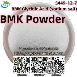 BMK Powder Liquid BMK Glycidic Acid (sodium salt) CAS 5449-12-7