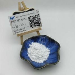 CAS 593-51-1 Methylamine hydrochloride