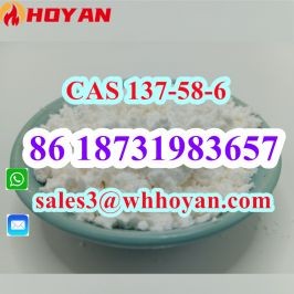 CAS 137-58-6 Lidocaine white powder