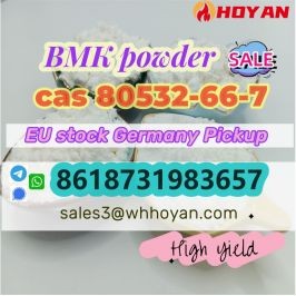 CAS 80532-66-7 BMK Methyl Glycidate Powder