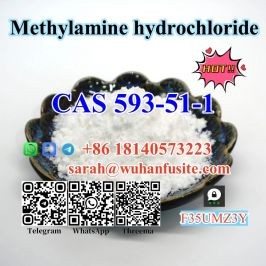 Factory Supply CAS 593-51-1 BK4 Methylamine hydrochloride with Hi