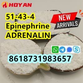 new arrival cas 51-43-4 Epinephrine powder C9H13NO3 ADRENALIN